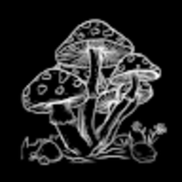 Meet your Posher, Ada - Picture 1 of 1